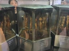 -一代烤翅王(大汉口店)