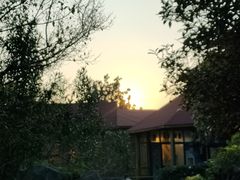 -金孔雀温泉旅游度假村