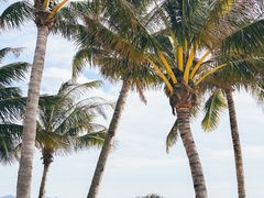 -玫瑰海岸文化旅游度假区