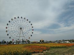 -金卉庄园