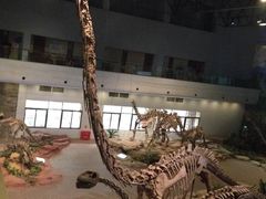 -自贡恐龙博物馆