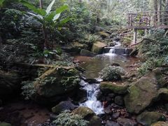 -海南热带雨林国家公园吊罗山景区