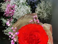 -FEI FEI FLOWER鲜花店·气球派对·宝宝宴布置(虹口德必运动Loft店)