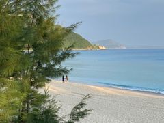 -西涌国际滨海旅游区