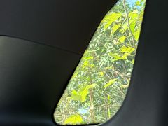 -皖北巫氏三胖地锅鸡(长淮总店)