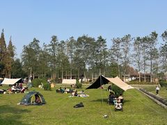 -夏河溪乡野公园