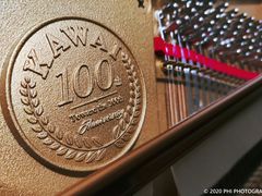 -柏斯琴行(汾阳店)