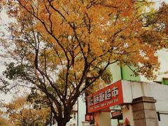 -八大关景区