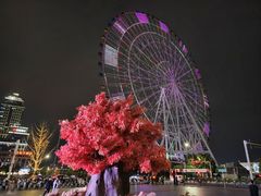 -南昌之星摩天轮