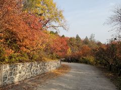 -北京鹫峰国家森林公园