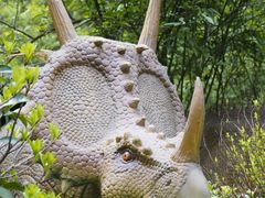 -贵州森林野生动物园