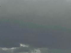 -老伙记海鲜码头(北滘店)