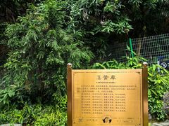 -广州神农草堂中医药博物馆