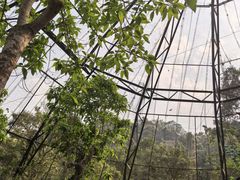 -野象谷景区