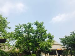 -海草馆自助餐厅(悦海店)