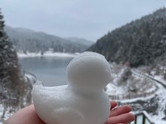 -武陵山森林公园