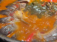 -Ameigo梅果·云贵川bistro(长宁来福士店)