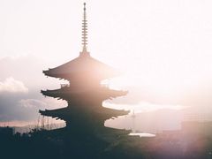 -呼兰河口湿地公园