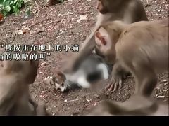 -昆明动物园