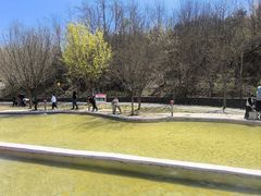 -西部长青自然儿童乐园