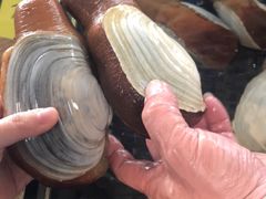 -晶莹品鲜.顺德鱼生.特色桑拿菜