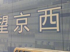 -望京西(地铁站)