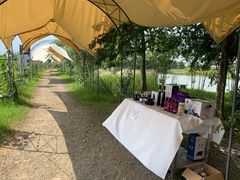 -金谷域澳洲庄园