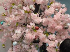 -翼丰日语·日本留学·移民服务中心(宝安校区)