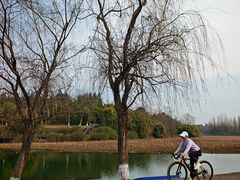 -白鹭湾湿地公园