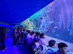 -太平洋海底世界