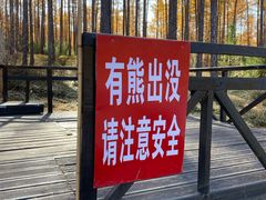 -莫尔道嘎国家森林公园