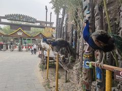 -呀路古热带植物园