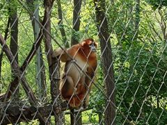 -哈尔滨北方森林动物园