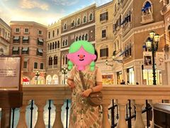 -澳门威尼斯人综合度假区