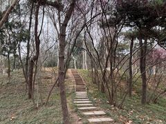 -西安市长乐公园