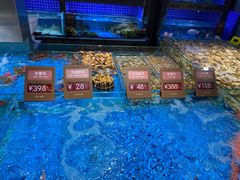 水产区-徐记海鲜(观沙岭|滨江新城店)