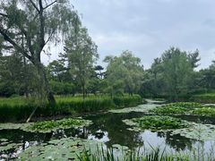 -承德避暑山庄景区