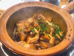-红星光发煲仔饭(文海店)