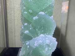 -中华赏石园