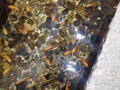 -邈墨茶馆(凤起路店)