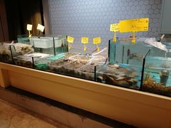 水产区-日进一片海.生腌海鲜火锅.宵夜烧烤(三里屯总店)