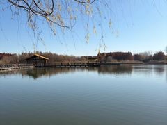 -溱湖国家湿地公园