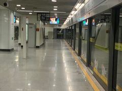 -杨高南路(地铁站)