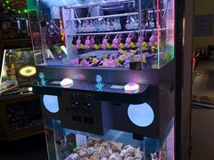 -大玩家(哈尔滨悦荟店)