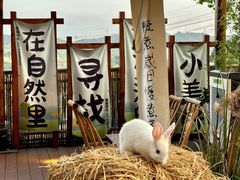 -伴山茶苑·围炉煮茶