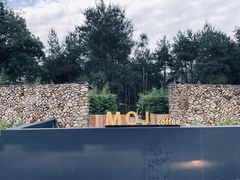 -MOJ coffee(瓯海泽雅水碓坑店)