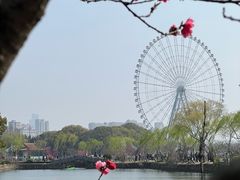 -无锡蠡湖国家湿地公园-蠡园