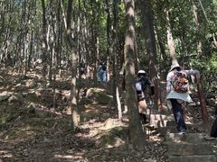 -火炉山森林公园
