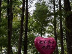 -东湖落雁景区