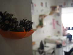 -我爱猫咪·猫咖·狗咖·安哥拉兔·羊驼咖(小寨华旗店)